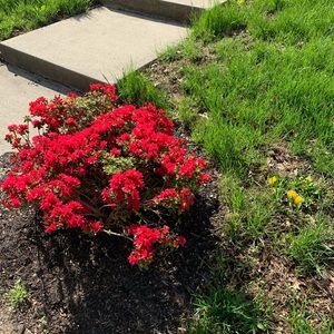 Meet your Posher, Halima